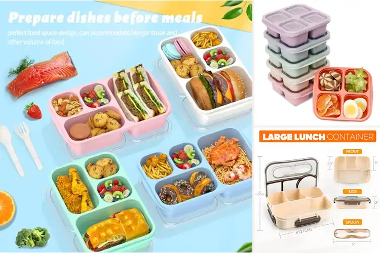 Detailed view of 10 Best 4-Compartment Lunch Containers: Simplify Healthy Eating