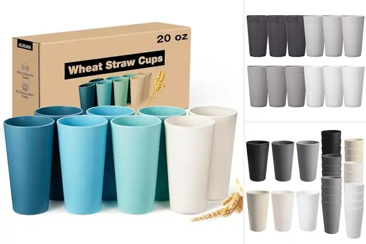 Detailed view of 10 Best BPA‑Free Cups