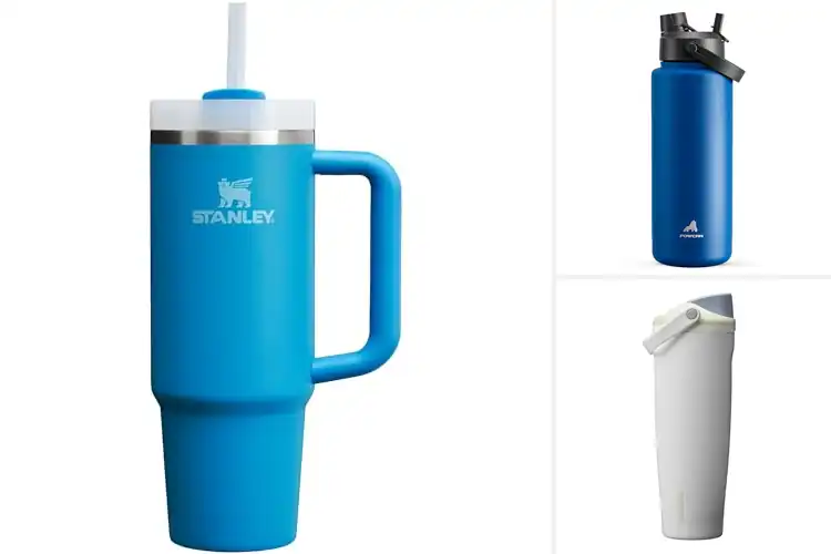 Detailed view of Best BPA-Free Stainless Steel