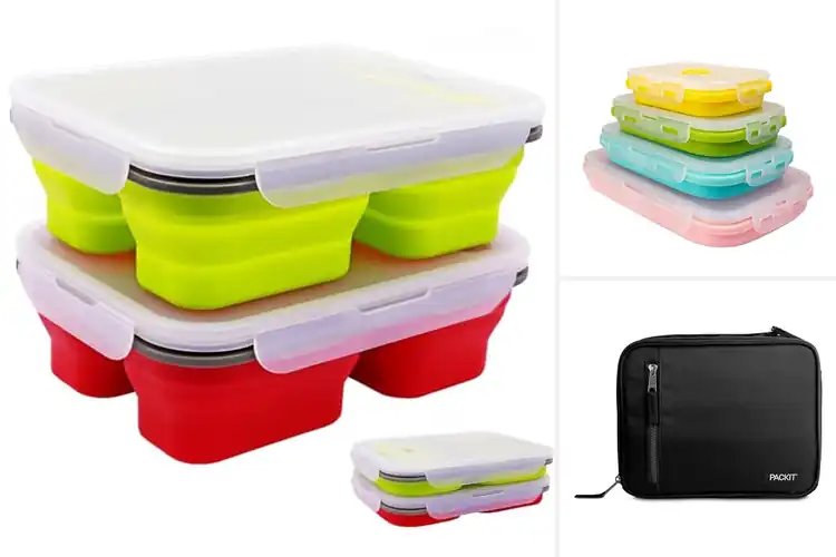 Detailed view of Best Collapsible Lunch Boxes: Save Space, Eat Smart