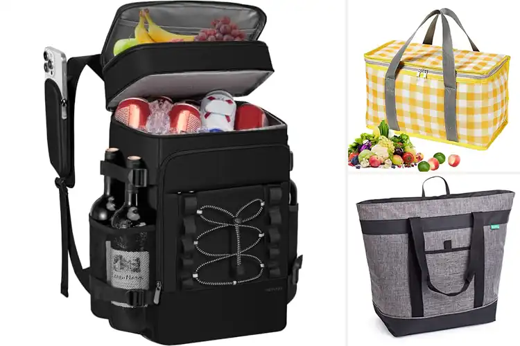 Detailed view of Best Cooler Bags for Picnic: Top 10 Picks to Keep Food Fresh