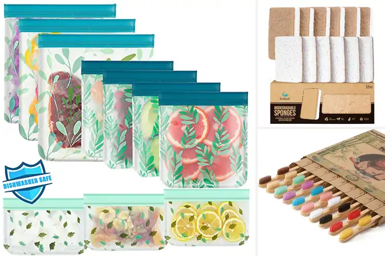 Detailed view of Best Eco-Friendly Products: 10 Easy Swaps for a Greener Life