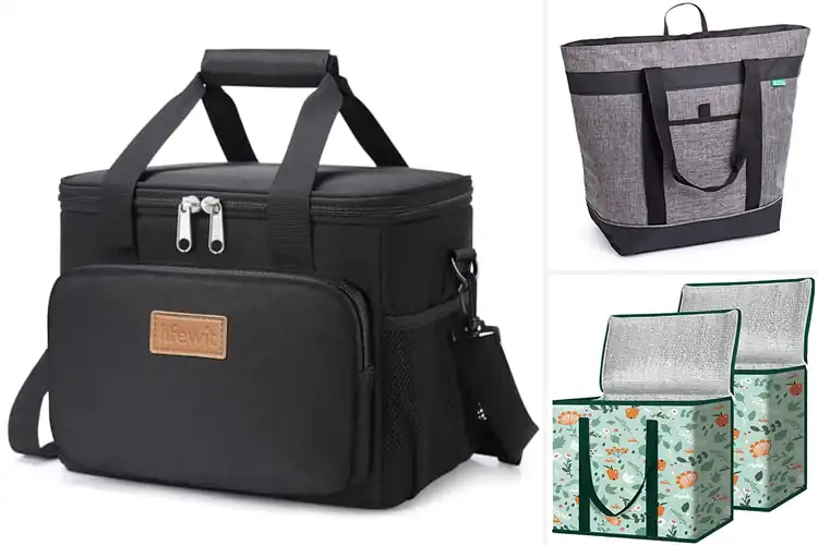 Detailed view of 10 Best Insulated Cooler Bags: Keep Cool