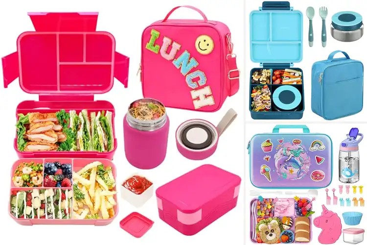 Detailed view of 10 Best Kids Bento Lunch Sets: Fresh, Fun, Mess-Free
