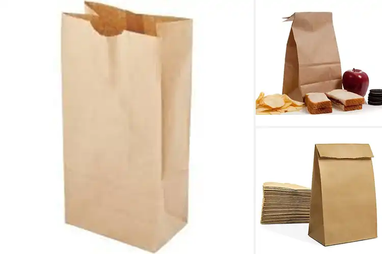 Detailed view of Best Large Lunch Bags