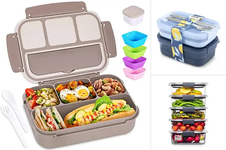 Detailed view of 10 Best Leak-Proof Lunch Containers for Mess-Free Meals