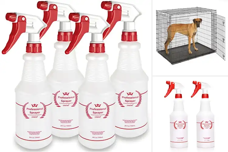 Detailed view of Best Leak-Proof Solutions: Top 10 Picks to Stop Spills Fast