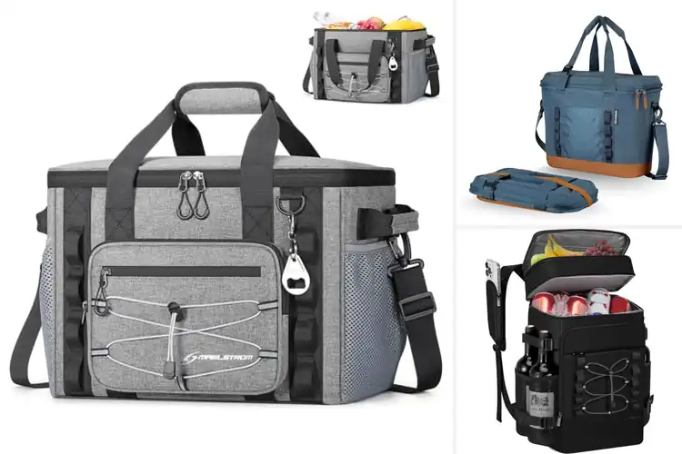 Detailed view of Best Leakproof Cooler Bags For Travel