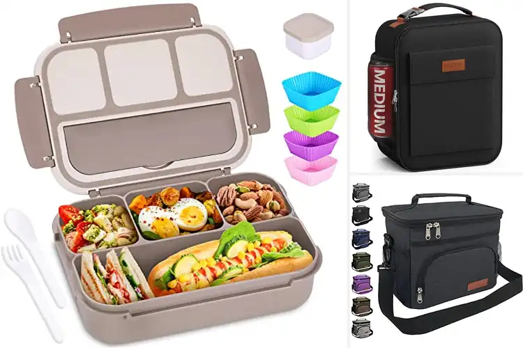 Detailed view of Best Lunch Boxes for Office