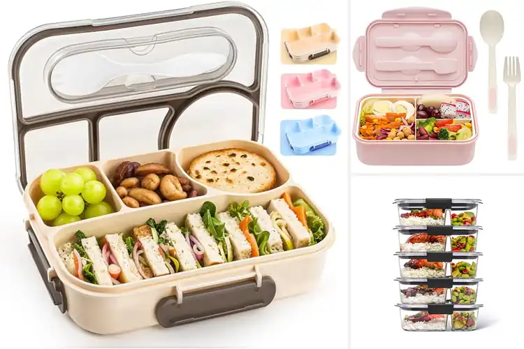 Detailed view of Best Lunch Containers for Work