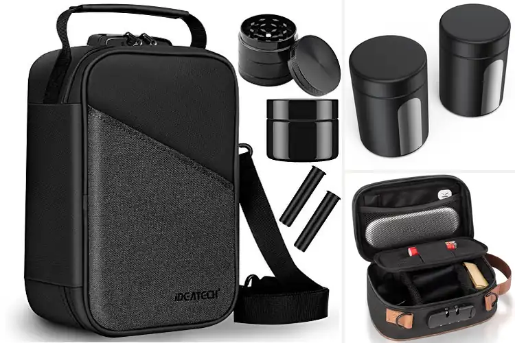 Detailed view of 10 Best Odor-Resistant Containers: Freshness