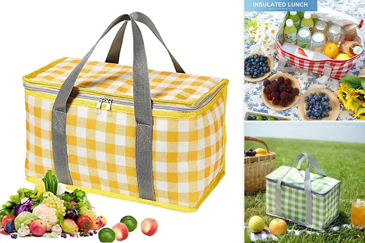 Detailed view of 10 Best Picnic Bags for Delightful Outings