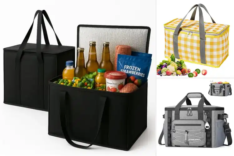 Detailed view of 10 Best Picnic Cooler Bags: Perfect for Your Outings