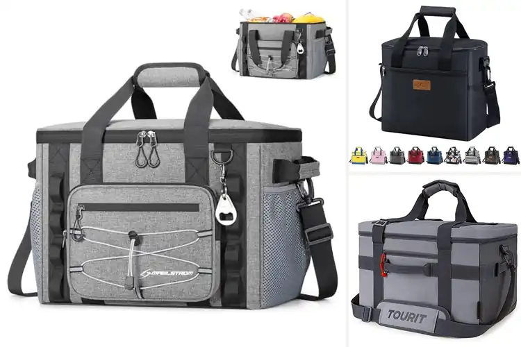 Detailed view of 10 Best Portable Cooler Bags: Stay Fresh