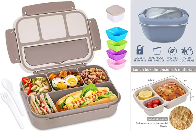 Detailed view of 10 Best Portable Lunch Containers: Keep Meals Fresh