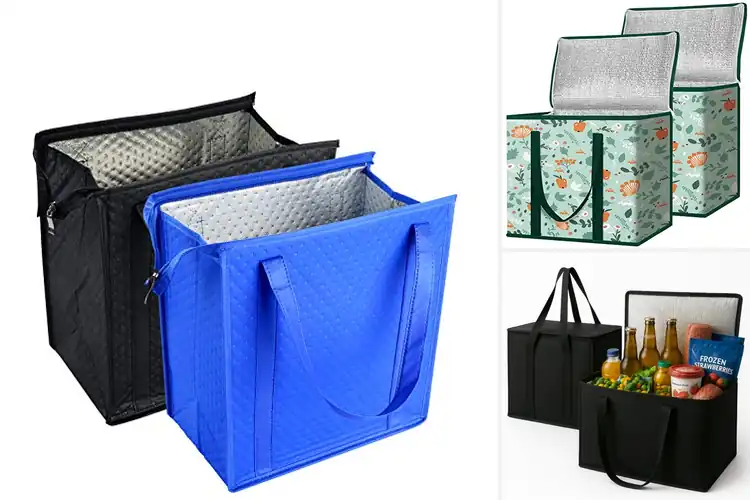 Detailed view of 10 Best Reusable Cooler Bags: Fresh Food On The Go