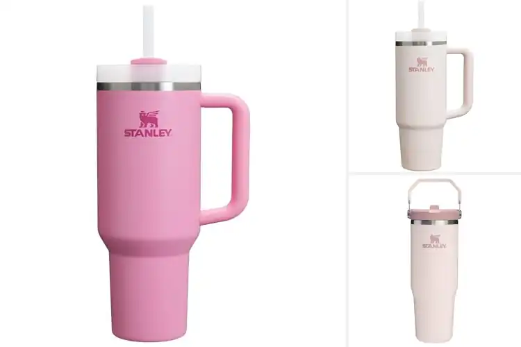 Detailed view of Best Stanley Tumblers