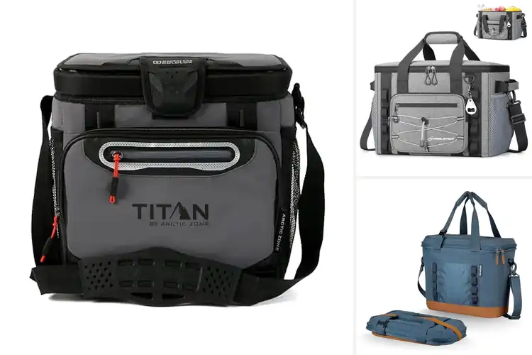 Detailed view of Best Travel Coolers
