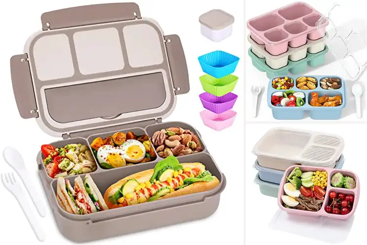 Detailed view of Best Travel Lunch Containers