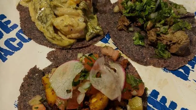 Blue Taco and Tequila