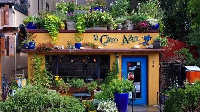 El Gato Azul