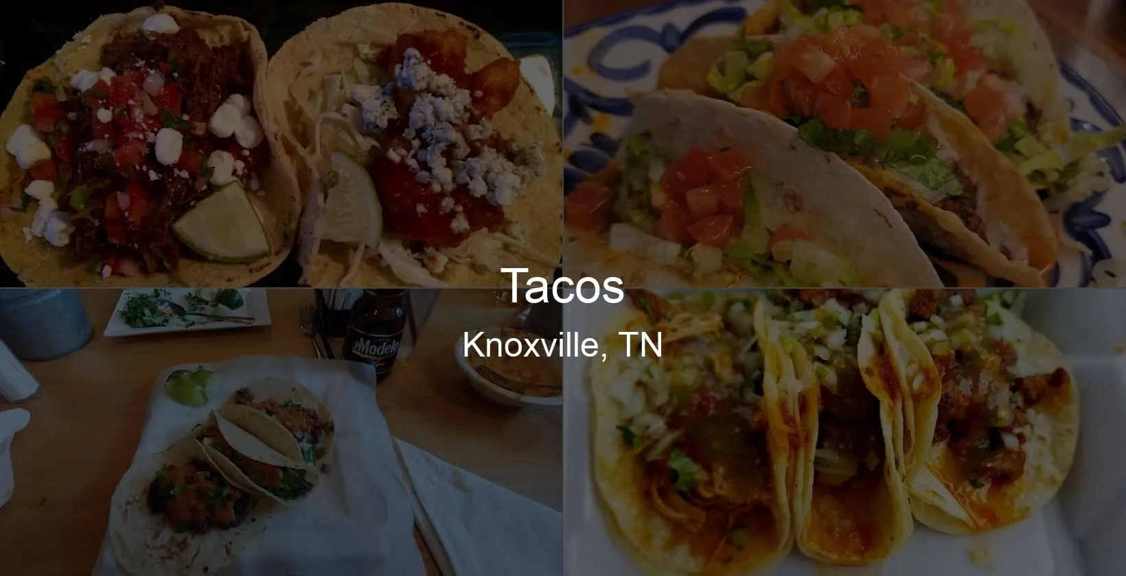 Tacos in Knoxville, TN Photo