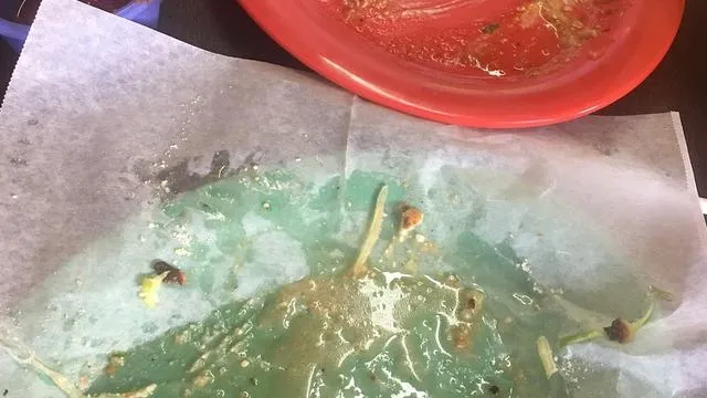 Taqueria El Tejaban